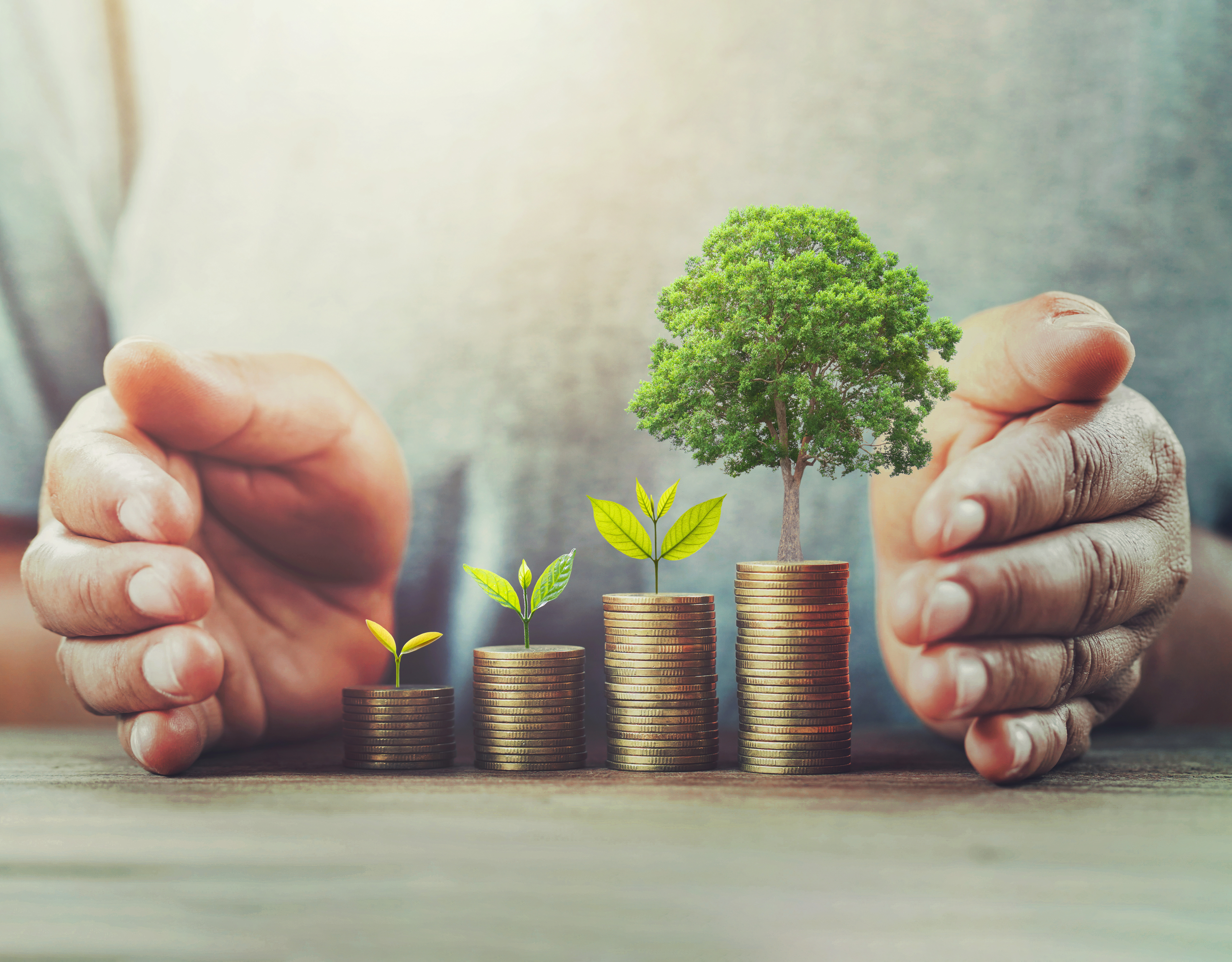 Two hands are positioned protectively around three stacks of coins, each topped with small green plants. The tallest stack features a fully grown tree, symbolizing growth and investment in nature. The image represents the concept of nurturing financial and environmental sustainability.
