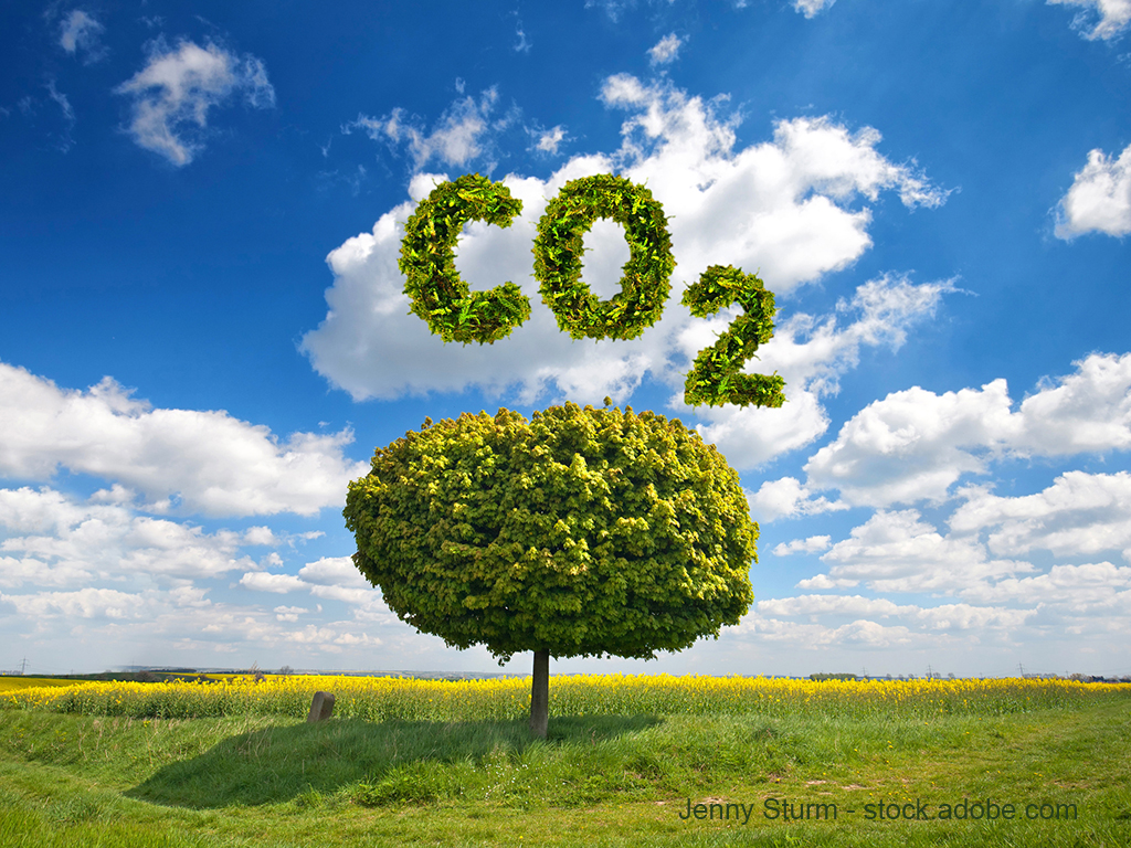 Ein majestätischer Baum mit einer runden, grünen Krone steht auf einer Wiese. Über ihm schweben die Buchstaben „CO2“, die aus Blättern bestehen, vor einem klaren Himmel mit einigen Wolken. Das Bild vermittelt eine Verbindung zwischen Natur und Kohlenstoffdioxid.