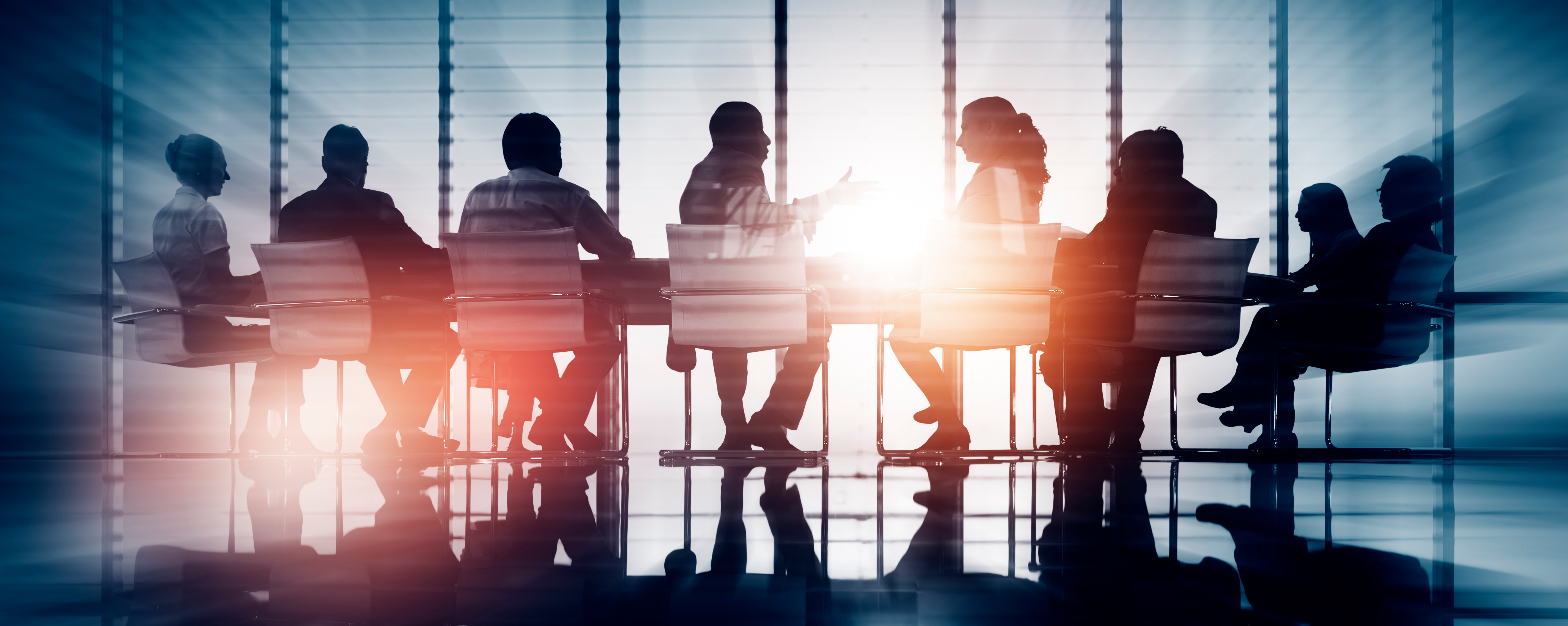 Eine Gruppe von Personen sitzt an einem Konferenztisch und diskutiert. Die Silhouetten der Teilnehmer sind vor einem hellen Hintergrund sichtbar, was die Weise der Interaktion betont. Die Szene vermittelt ein Gefühl von Geschäftigkeit und Teamarbeit.