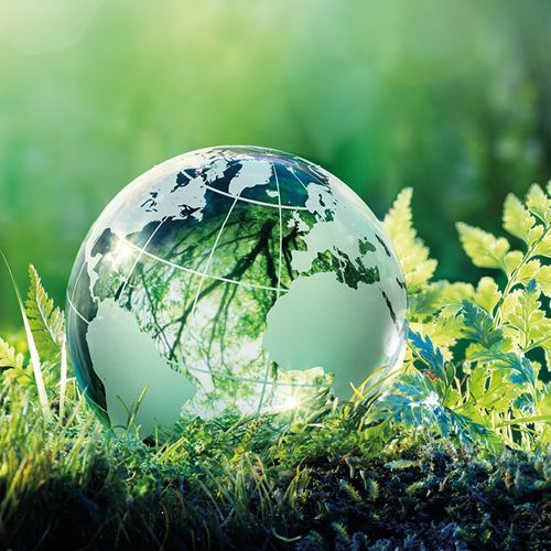 Eine durchsichtige Erdkugel liegt auf grünem Gras zwischen Farnen. Ihrer Oberfläche reflektiert die umgebende Natur, was auf die Verbindung zwischen der Erde und der Umwelt hinweist. Die Szene vermittelt ein Gefühl von Ruhe und Naturverbundenheit.