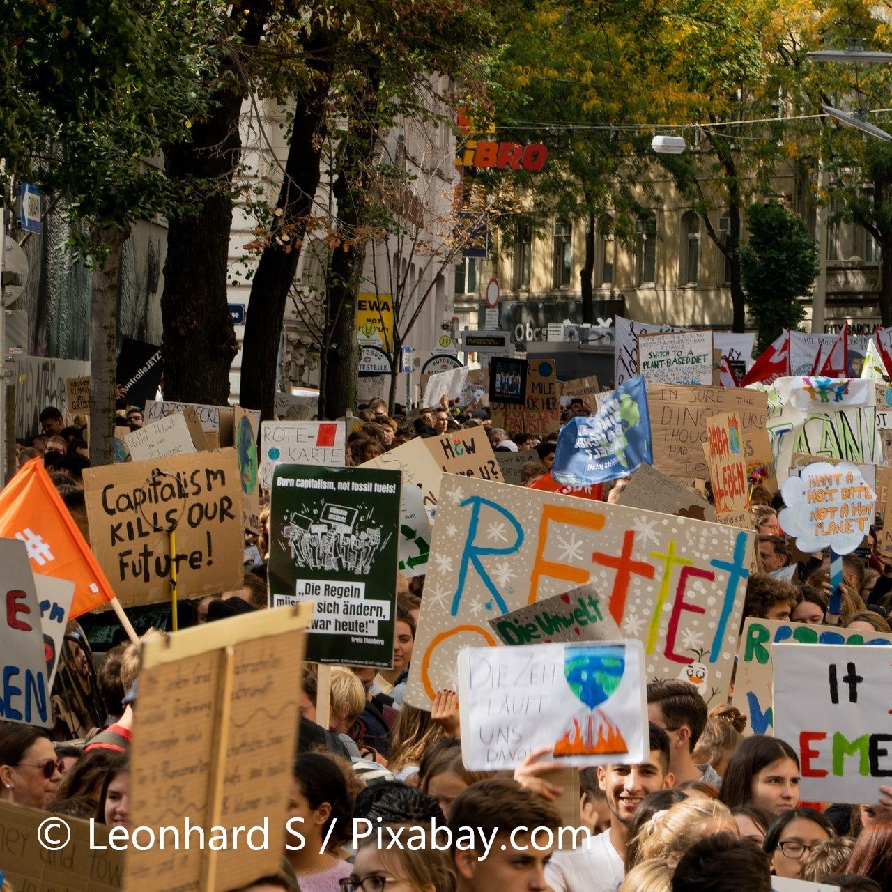 Eine große Menschenmenge demonstriert auf einer Straße, um auf Klimaschutz aufmerksam zu machen. Viele Personen halten Schilder mit verschiedenen Botschaften, darunter "Kapitalismus schadet unserer Zukunft" und "Retten die Welt". Die Umgebung zeigt Bäume und Gebäude, die zur urbanen Kulisse beitragen.